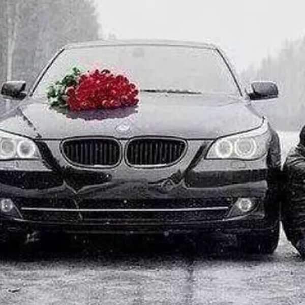 Two Dozen Red Roses I Love You Forever