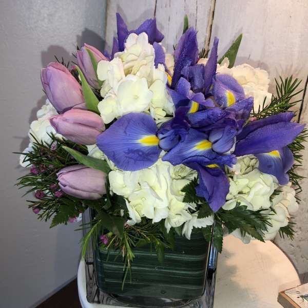 Purple tulips and blue irises with white hydrangeas in a square vase