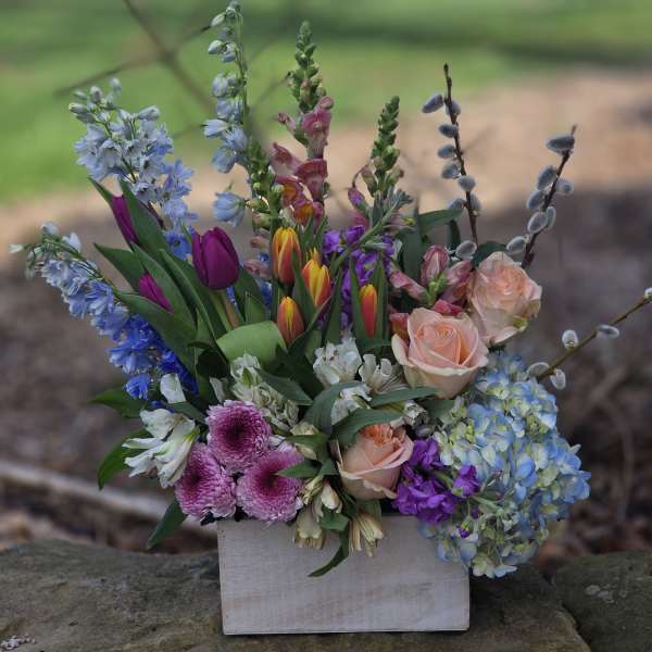 Spring Garden of Joy
