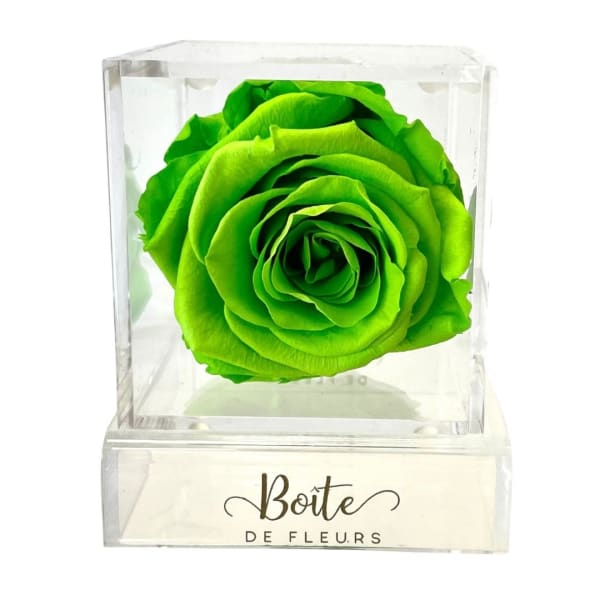 Single bright green rose in a clear acrylic box