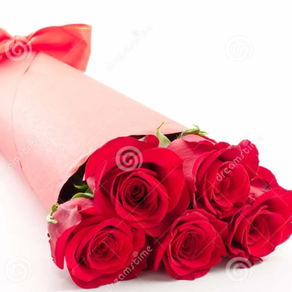 Wrapped Bouquet of One Dozen Roses