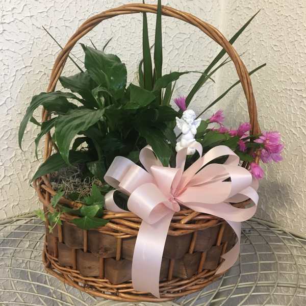 Potted plant basket with pink flowers, a ribbon, and a small angel figurine
