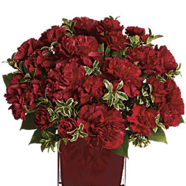 Red carnations arranged in a square glass vase