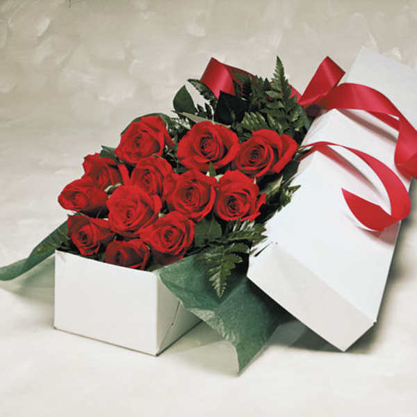 Dozen Roses In Box