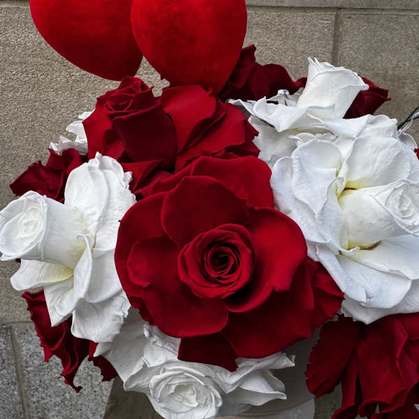 Stunning preserved Red & White mixed roses!