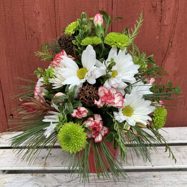 White daisies and green mums with pink-edged carnations in a red pot