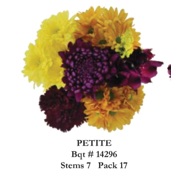 Petite bouquet of yellow, orange, purple, and burgundy chrysanthemums