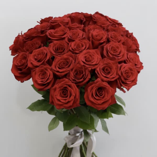 Ruby Red Roses - WeHo