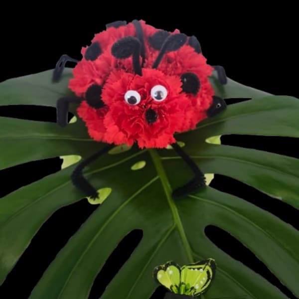 Ladybug