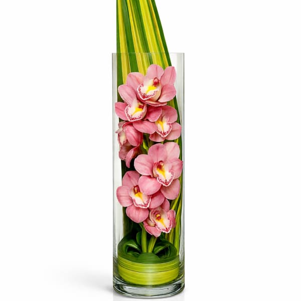Pink orchids arranged in a tall glass vase with long green leaves