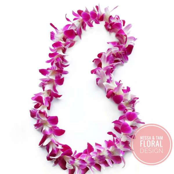 Single strand of pink and white orchid lei arranged in a loose oval on a white background