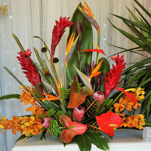 Tall tropical arrangement with red ginger, orange orchids, birds of paradise and red anthuriums