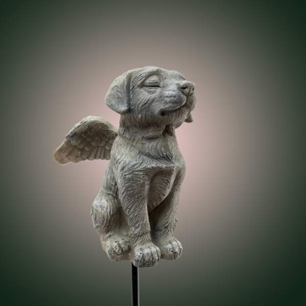 Dog Angel Small