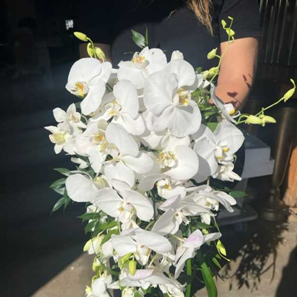 Large cascading bouquet of white orchids with green accents