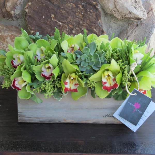 Green orchid and succulent arrangement in a wooden box