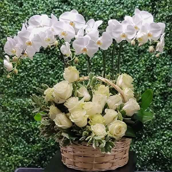 White orchids arch above a basket of cream roses