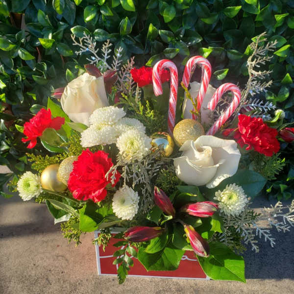 Holiday bouquet with white roses, red carnations, and candy canes