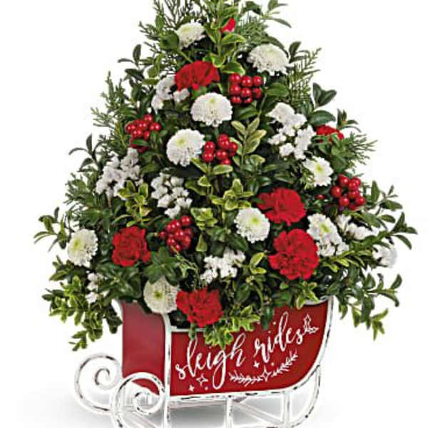 Red and white floral arrangement in a sleigh-shaped container