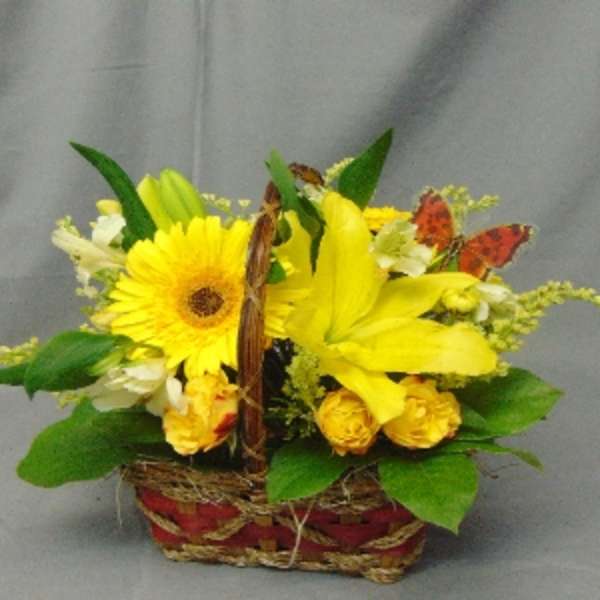 Yellow floral basket arrangement with a gerbera daisy and lily