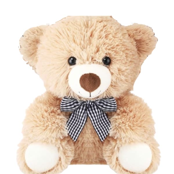 Plush teddy bear with a black-and-white checkered bow