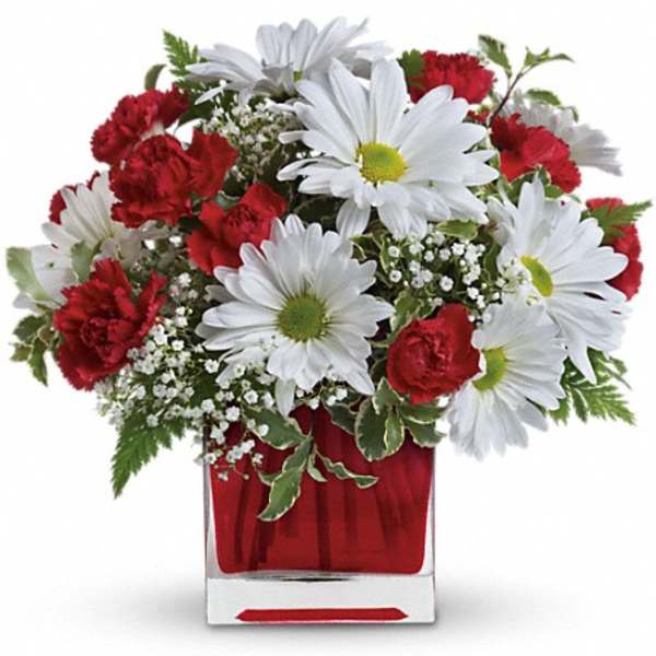 Red carnations and white daisies in a clear square vase