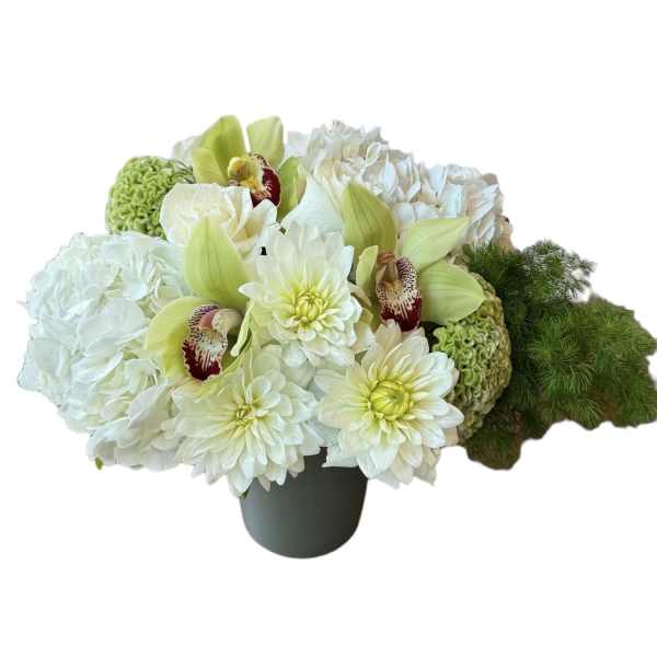 Blissful Blossoms