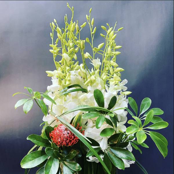 White orchids in a clear glass vase with green foliage and a red accent bloom