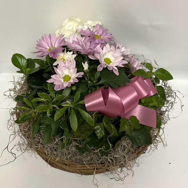 Pink and white daisy bouquet in a basket with a pink ribbon