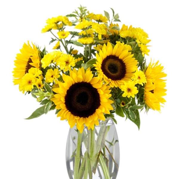 Sunflower and yellow daisy bouquet in a clear glass vase