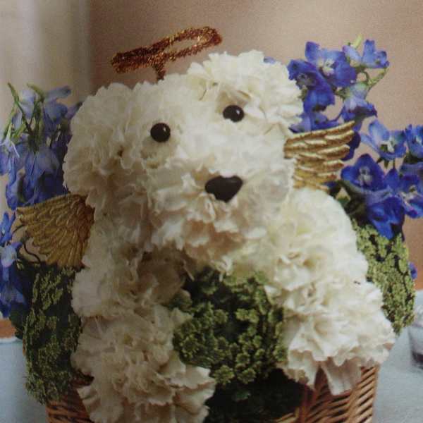 White flower teddy bear in a wicker basket with blue flowers