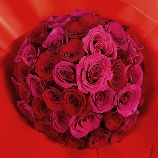 Bouquet of red and pink roses in red wrapping