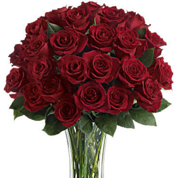 Love and Devotion - Long Stemmed Red Roses