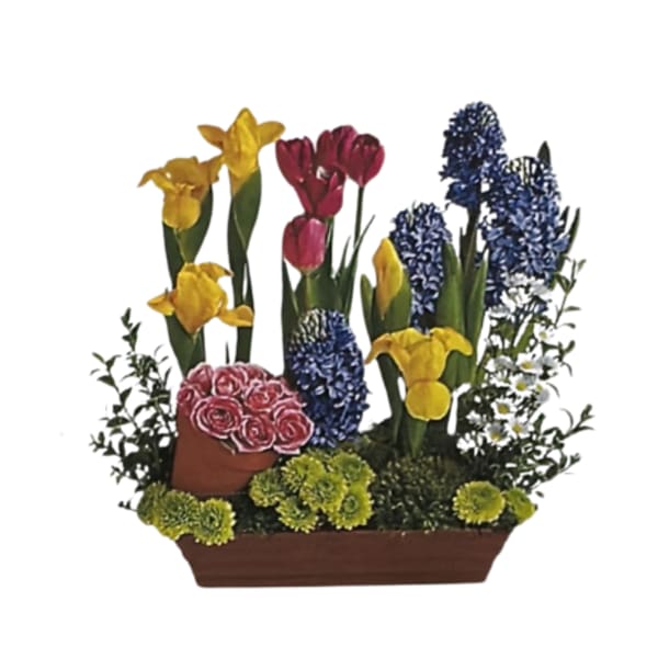 Arrangement of yellow irises, pink tulips, blue hyacinths, and pink roses in a rectangular planter