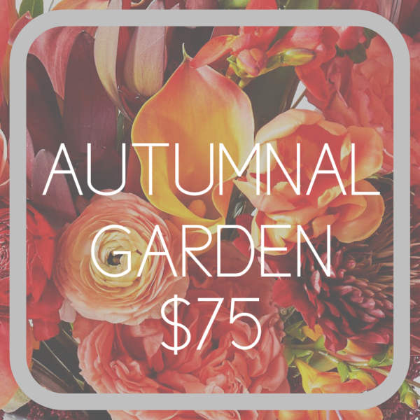 AUTUMN GARDEN Designers Choice