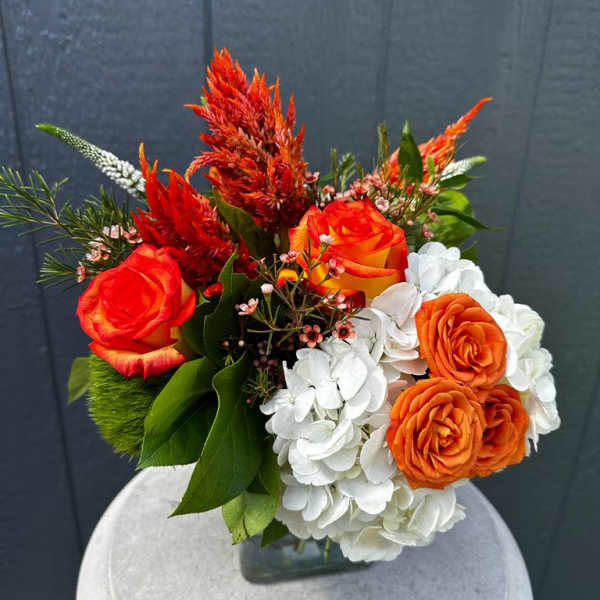 Orange roses and white hydrangeas in a glass vase with red plumes
