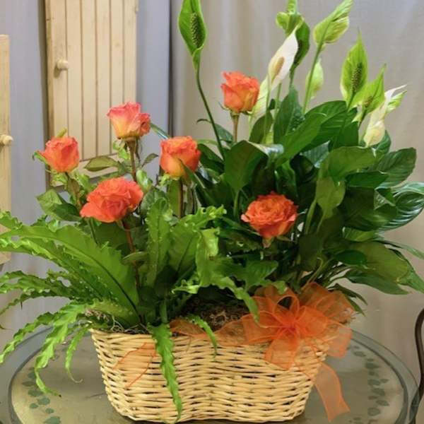 Orange roses and white calla lilies in a wicker basket