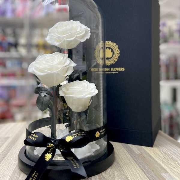 Three white roses displayed under a glass dome on a black base with a ribbon and gift box.
