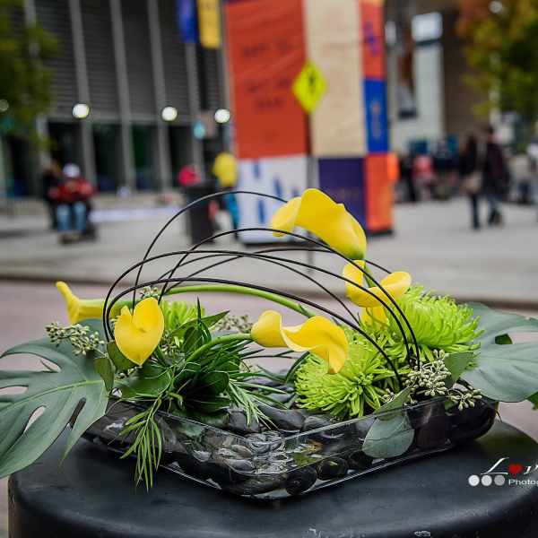 Yellow calla lilies and green blooms in a glass bowl arrangement