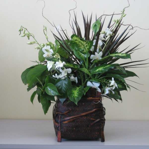 White orchids and mixed foliage in a woven basket planter