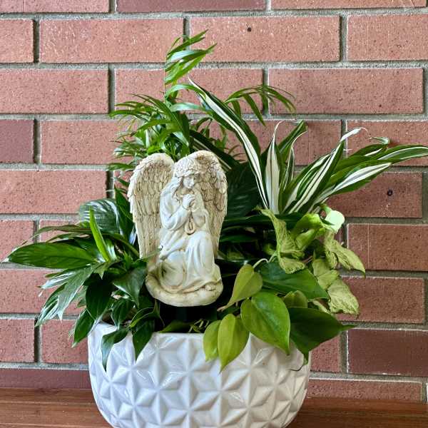 Potted green houseplants in a white ceramic planter with an angel statue