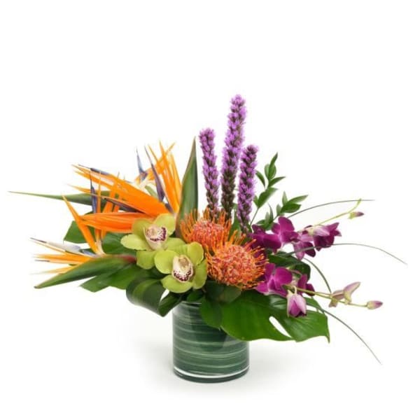 Tropical arrangement with orange blooms, green orchids, and purple flowers in a low glass vase with large foliage.