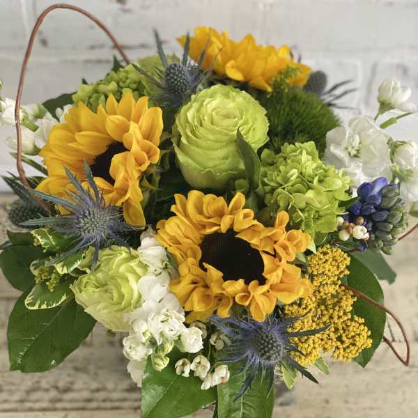 Basket arrangement with yellow sunflowers, green roses, and blue thistles