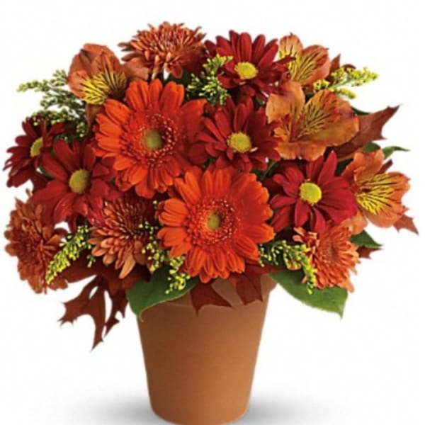 Orange and red daisy bouquet in a brown pot
