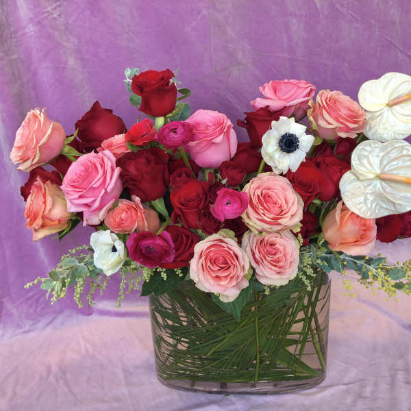 Bouquet of pink and red roses in a glass vase with white anthuriums