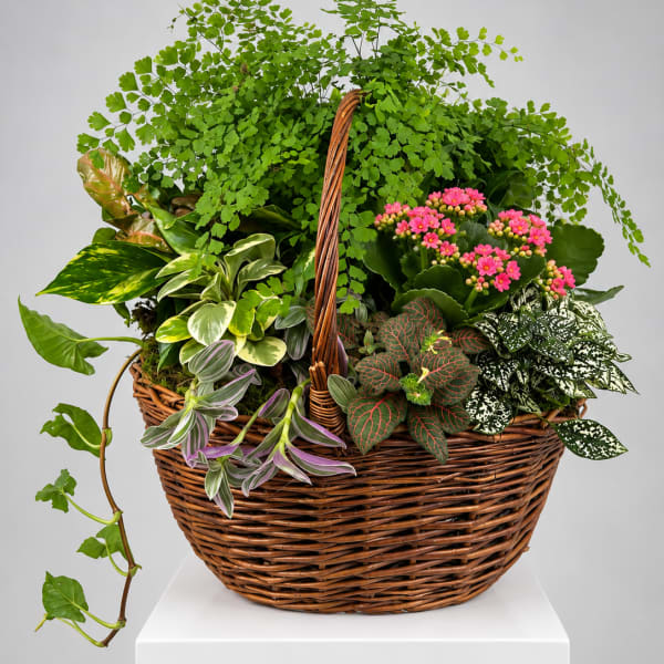 Mixed potted plants and pink flowers in a wicker basket
