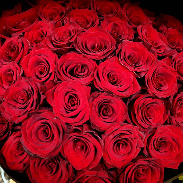A dense bouquet of red roses fills the frame.