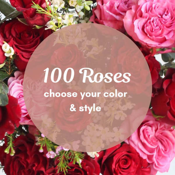 Bouquet of red and pink roses with small white filler flowers