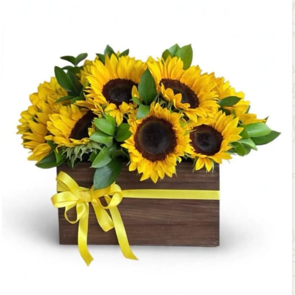 Sunflower arrangement in a wooden box with a yellow ribbon