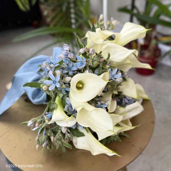 Bouquet of white calla lilies and small blue flowers