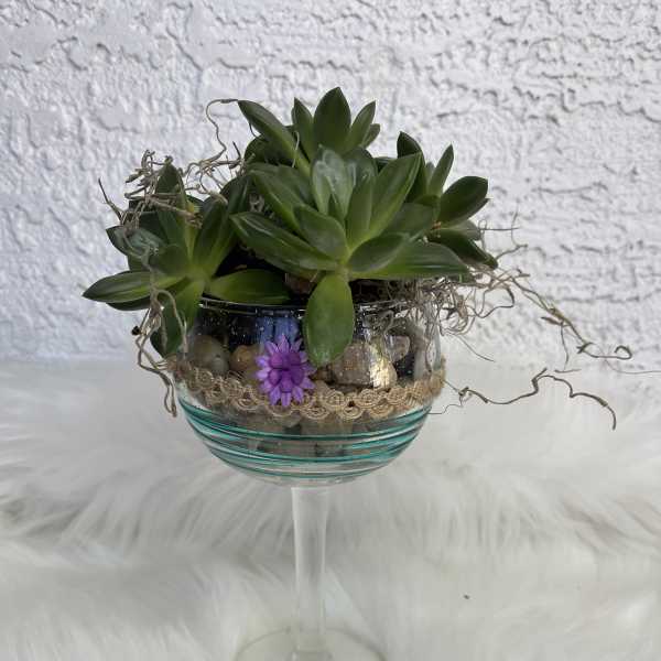 Succulent arrangement in a glass goblet with a small purple flower accent
